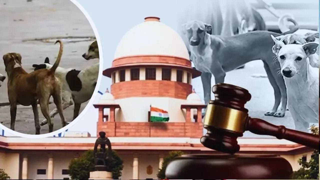 सुप्रीम कोर्ट की पहल पर शिक्षा विभाग की नई गाइडलाइन, कुत्ता काटे तो स्कूल ले जाएगा अस्पताल..