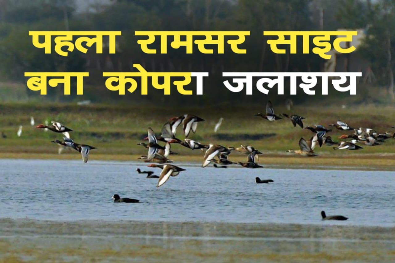 छत्तीसगढ़ का पहला रामसर साइट बना कोपरा जलाशय, 9 जनवरी को केंद्रीय मंत्री तोखन साहू करेंगे पक्षी महोत्सव का आगाज..