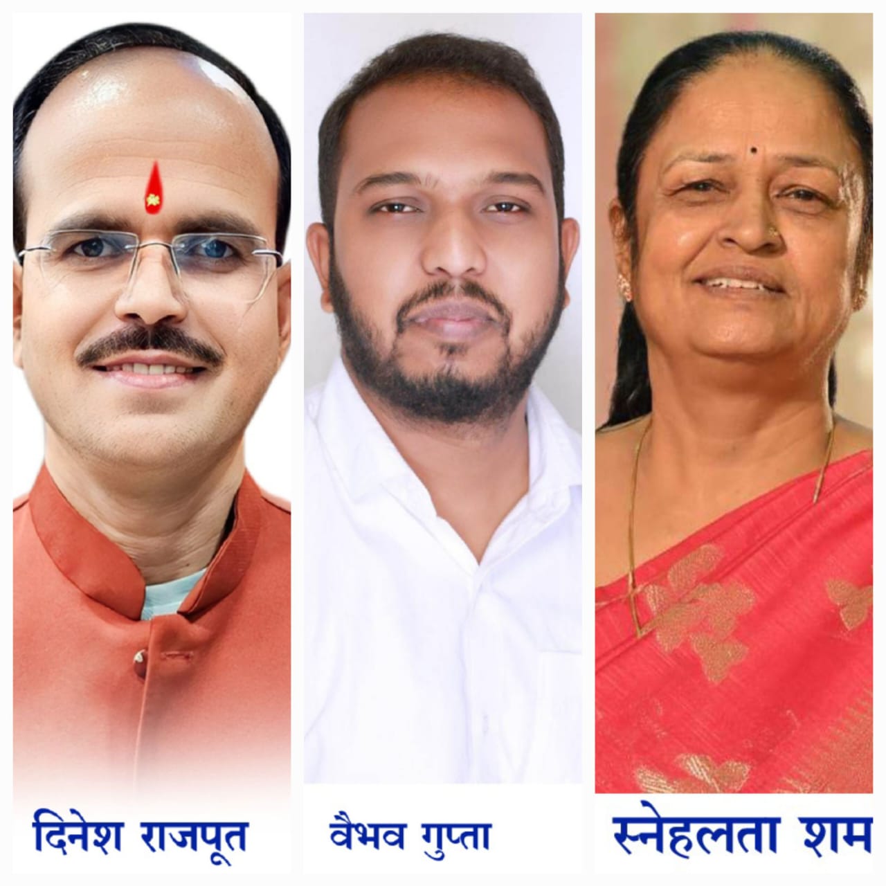 भाजपा बिलासपुर में युवा, महिला और किसान मोर्चा के मंडल अध्यक्षों की घोषणा..