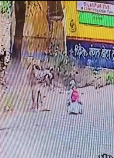 सड़क पर बेकाबू सांड का आतंक, राहगीर पर हमला : हालत नाजुक, लोगों में आक्रोश.. देखें वीडियो..