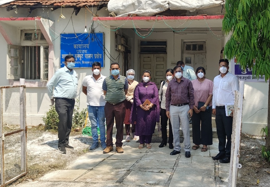 बिलासपुर में बर्ड फ्लू का खतरा बरकरार : केंद्रीय टीम ने संभाला मोर्चा, 3 हफ्ते तक प्रतिबंध जारी..