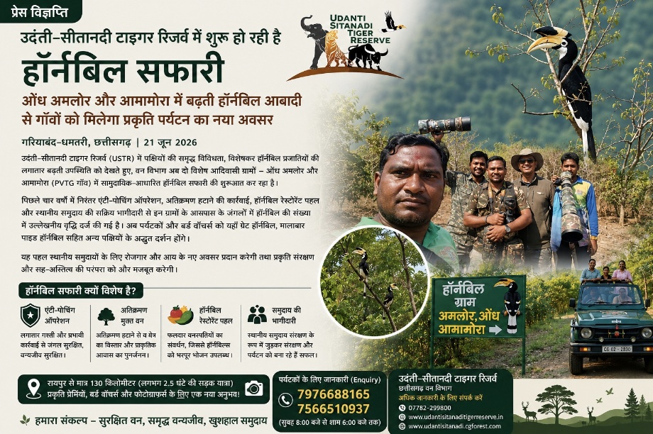 उदंती-सीतानदी में शुरू होगी ‘हॉर्नबिल सफारी’: मालाबार पाइड हॉर्नबिल की बढ़ती संख्या से बदलेगी जंगल पर्यटन की तस्वीर..