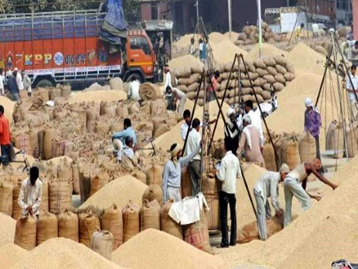 महासमुंद धान फर्जीवाड़ा : कागजों में 18 करोड़ का स्टॉक, हकीकत में फड़ खाली; 54 में से सिर्फ 2 पर FIR, 52 प्रभारियों को मिली छूट..
