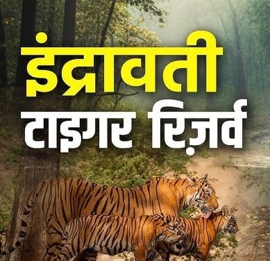 इंद्रावती टाइगर रिजर्व में शिकार के खिलाफ बड़ी कार्रवाई, छह आरोपी गिरफ्तार..