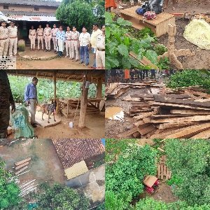 ओडिशा में लकड़ी तस्करी पर USTR का बड़ा शिकंजा, 3 परिसरों से 3-4 घनमीटर लकड़ी जब्त..