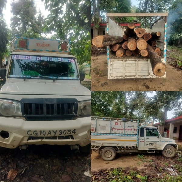 रात 3 बजे वन अमले की दबिश, सागौन से लदी पिकअप जब्त..