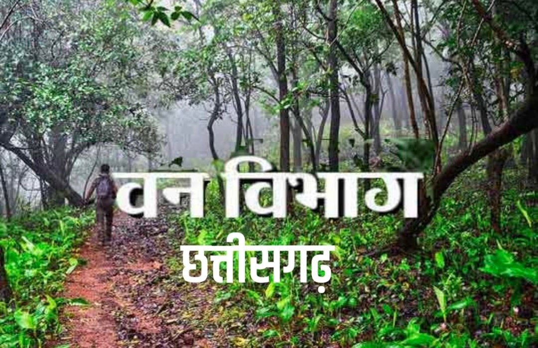 10 साल से वन विभाग में काम कर रहे 3630 दैनिक वेतन कर्मचारियों के लिए बढ़ी उम्मीद..